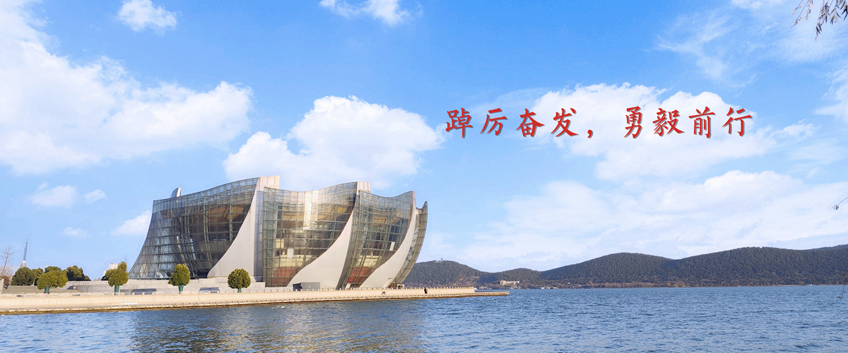 踔厉奋发，勇毅前行